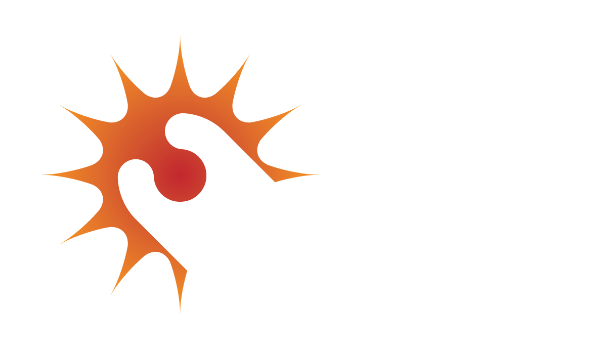 Veinlite Logo